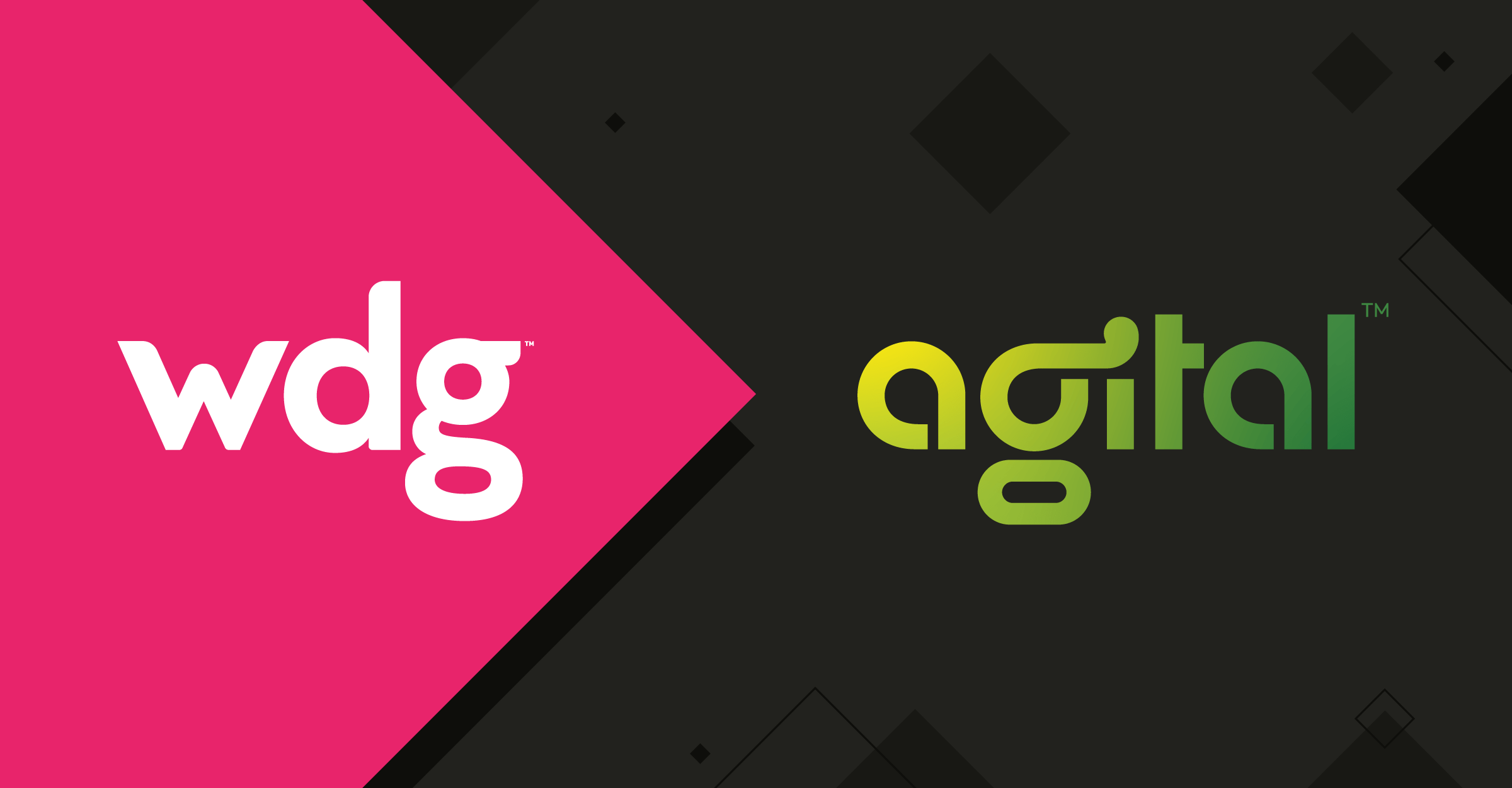 WDG Joins Agital to Build Digital Marketing Powerhouse! — WDG 